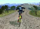 3D Mountain Bike