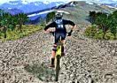 3D Mountain Bike