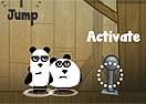3 Pandas