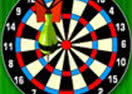 501 Dart Challenge