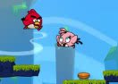 Angry Birds Way
