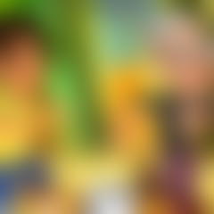 Angry Gran Run: Brazil