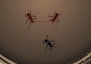 Ant Arena