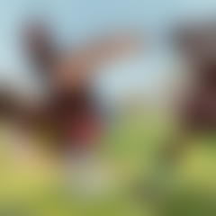 Apenas um Show: Duelo de Gigantes