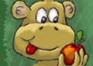 Apples