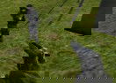 Army Recoup: Island