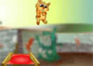 Arremesso de Gatos