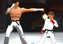 Art of Free Fight