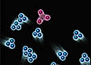 Atomz