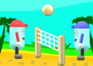 Beach Volleyball