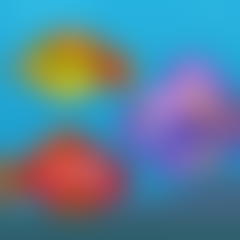 Big Fish Eat Small Fish 2