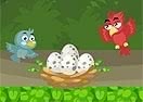 Bird Jungle Rescue