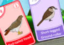 Bird Pax