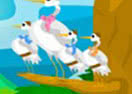 Birds of a Feather