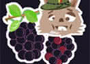 Blackberry Picker