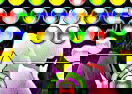 Bubble Elements Earth