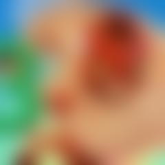 Burrito Bison 3: Launcha Libre