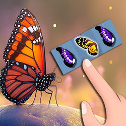 Butterfly Kyodai Deluxe 2