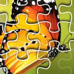 Butterfly Puzzle