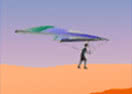 Canyon Glider