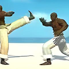 Capoeira Fighter