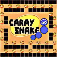 Jogo Caray Snake no Jogos 360