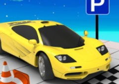Car Parking Pro