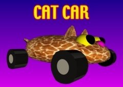 Cat Car