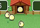 Catch the Chicks