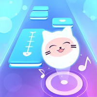 Cat Disco!