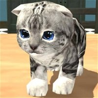 gato militar - Seu Portal para Jogos Online Empolgantes.