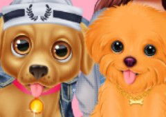 Celebrity Puppies