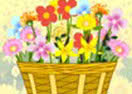 Cesta de Flores