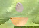 Chick and Eggs