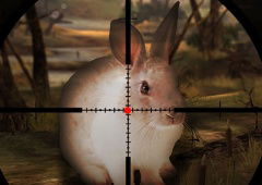 Classical Rabbit Sniper Hunting 2019