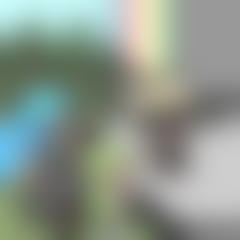 Coachella Scene Maker