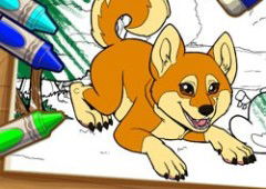 Color Me Pets 2