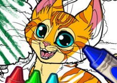 Color Me Pets