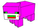 Color Pig