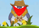 Cool West