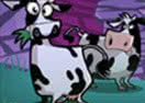 Cow Bandits