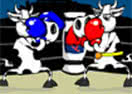 Cow Fighter