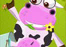 Crazy Cow