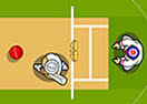 Cricket