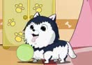 Cute Dog Contest