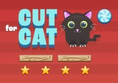 Cut For Cat
