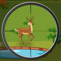 Deer Hunter 2D