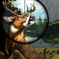 Deer Hunter