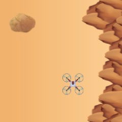 Desert Drone