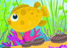 Design Your Aquarium